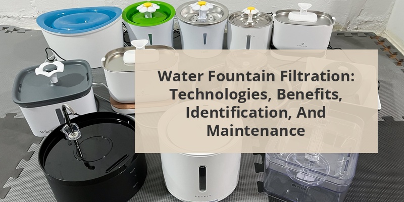 do water fountains filter water