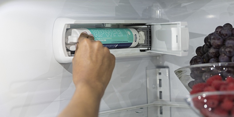 fridge water filter maintenance