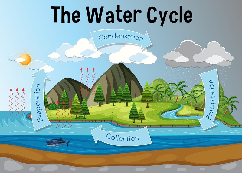 water cycle diagram