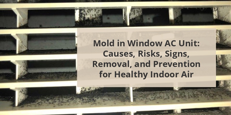 mold in window ac unit